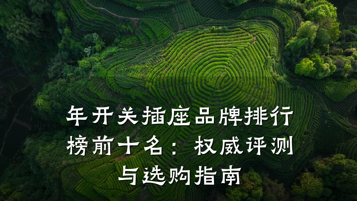 年开关插座品牌排行榜前十名：权威评测与选购指南