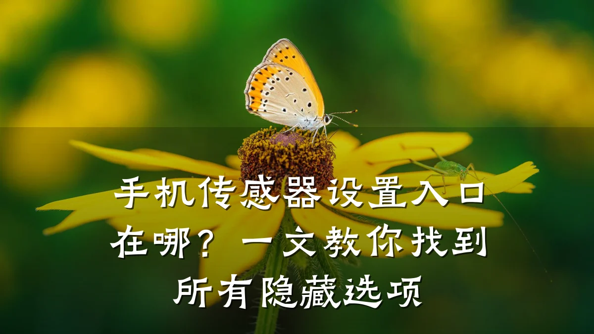 手机传感器设置入口在哪?一文教你找到所有隐藏选项