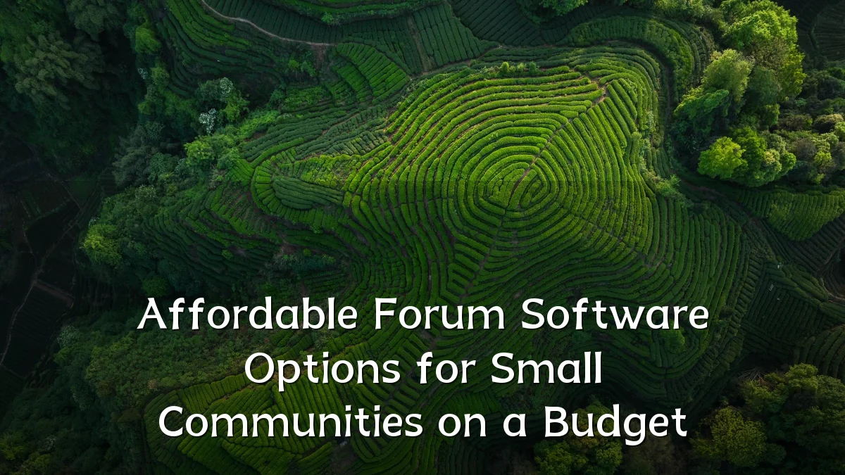 Affordable Forum Software Options for Small Communities on a Budget