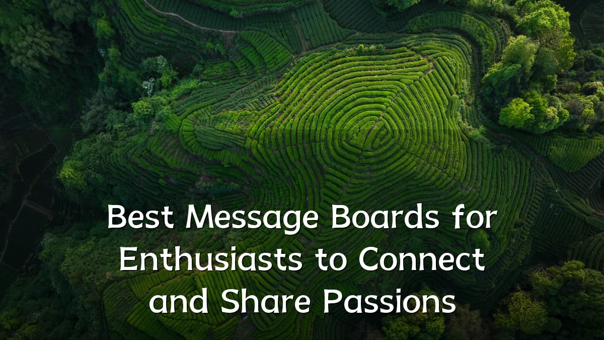 Best Message Boards for Enthusiasts to Connect and Share Passions