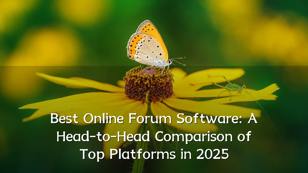 Best Online Forum Software: A Head-to-Head Comparison of Top Platforms in 2025