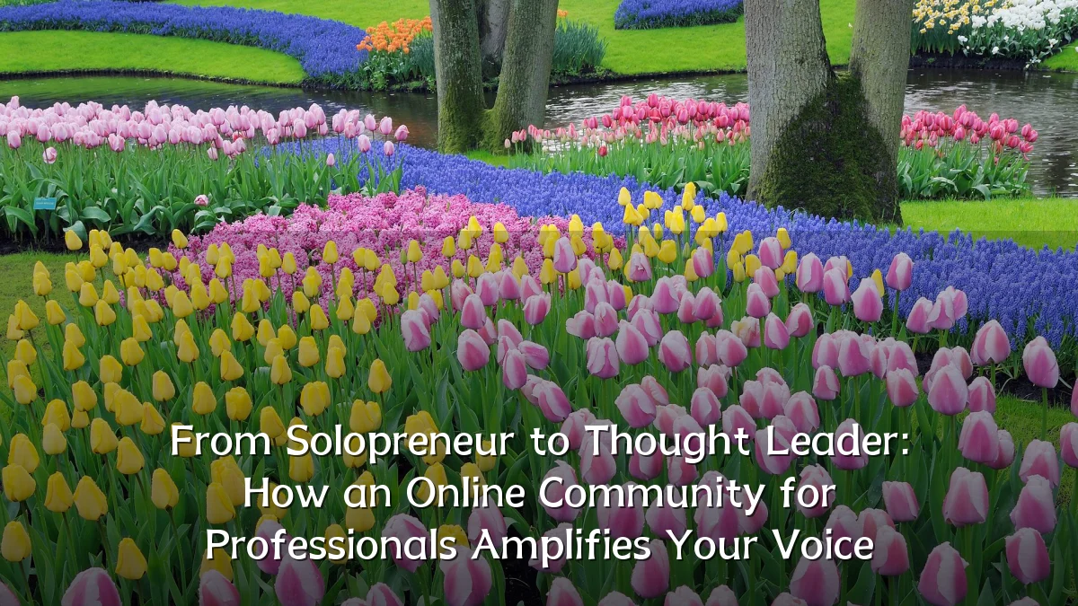 From Solopreneur to Thought Leader: How an Online Community for Professionals Amplifies Your Voice