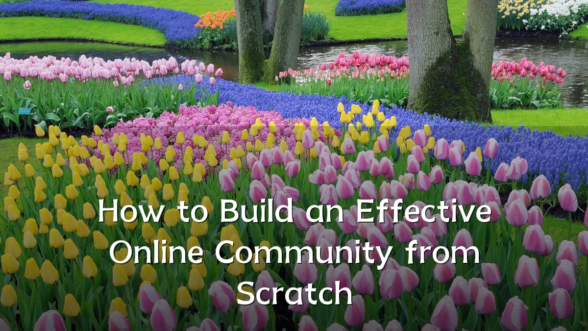How to Build an Effective Online Community from Scratch