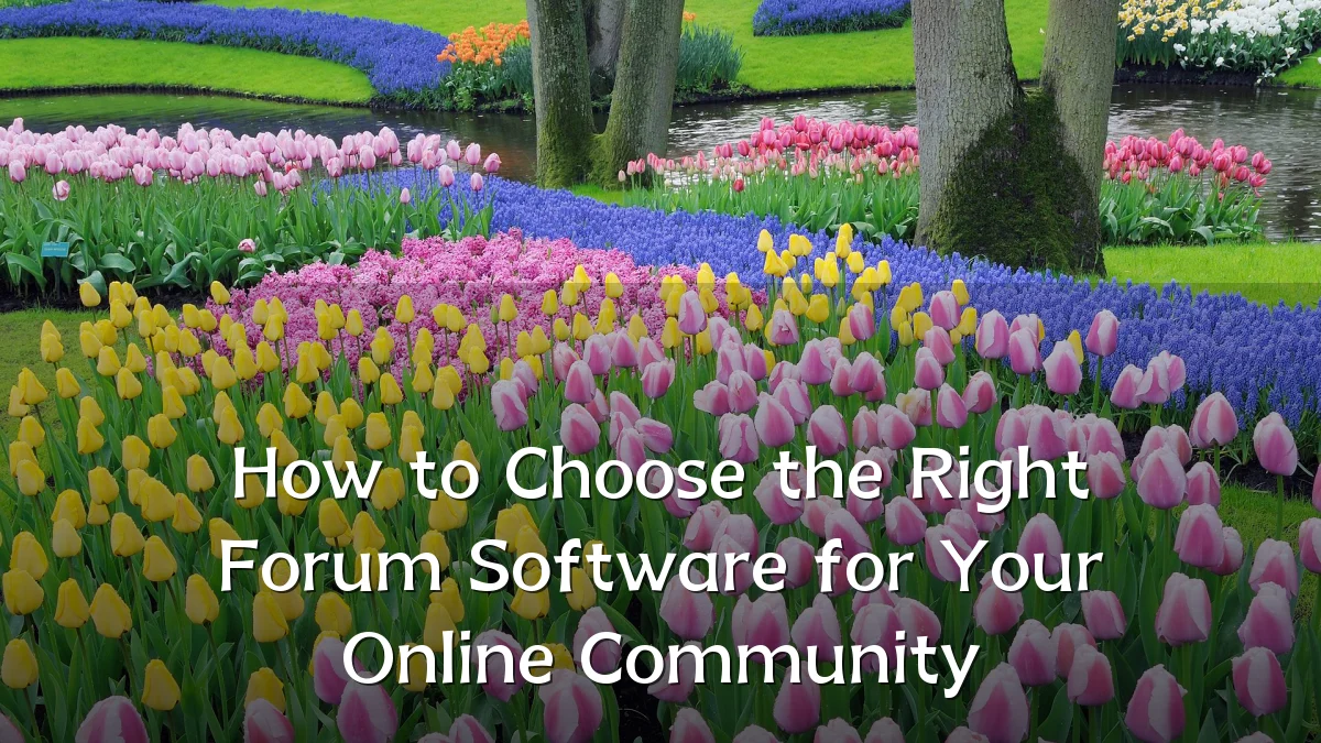 How to Choose the Right Forum Software for Your Online Community