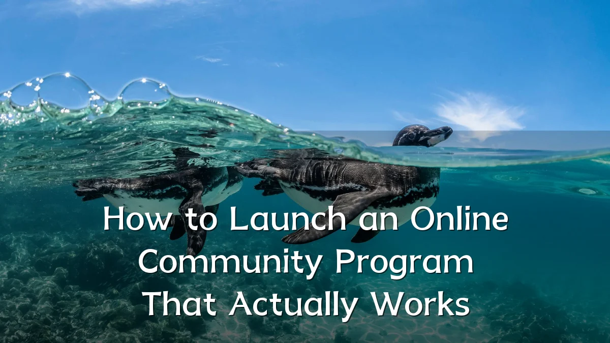 How to Launch an Online Community Program That Actually Works