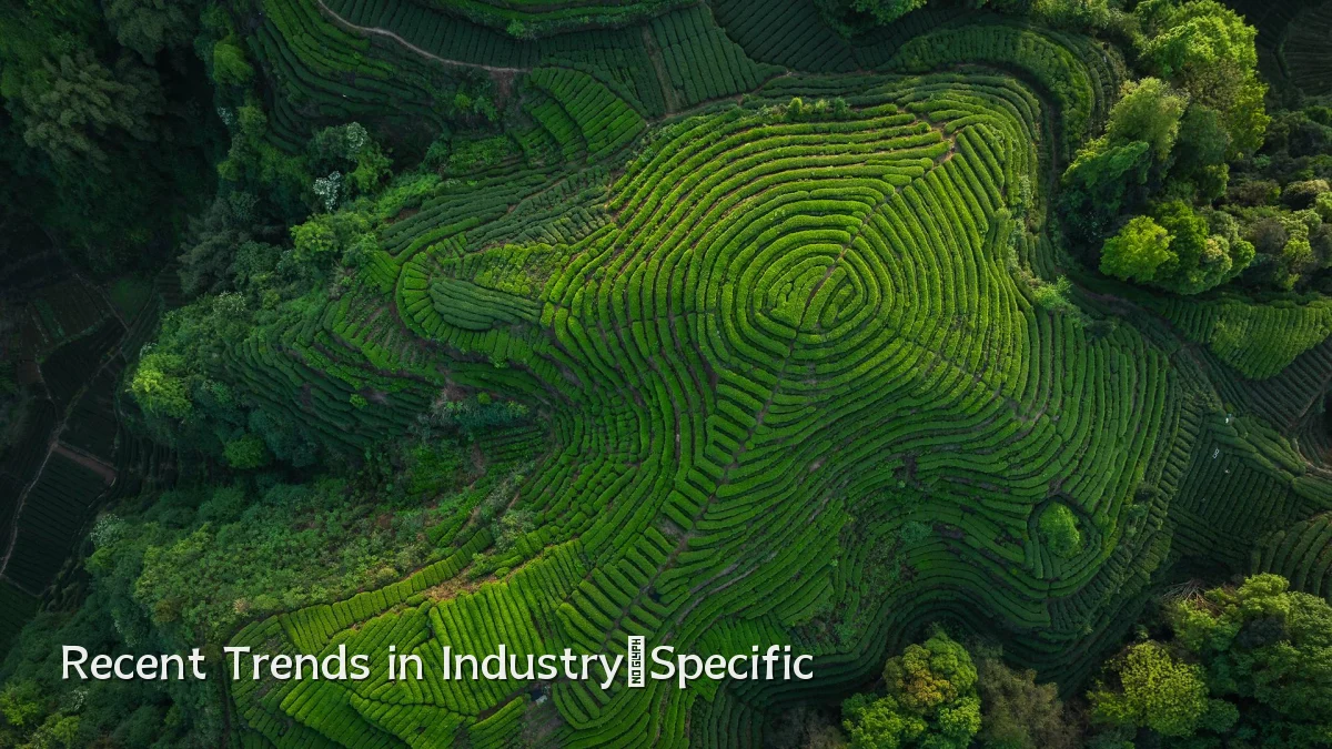 Recent Trends in Industry‑Specific