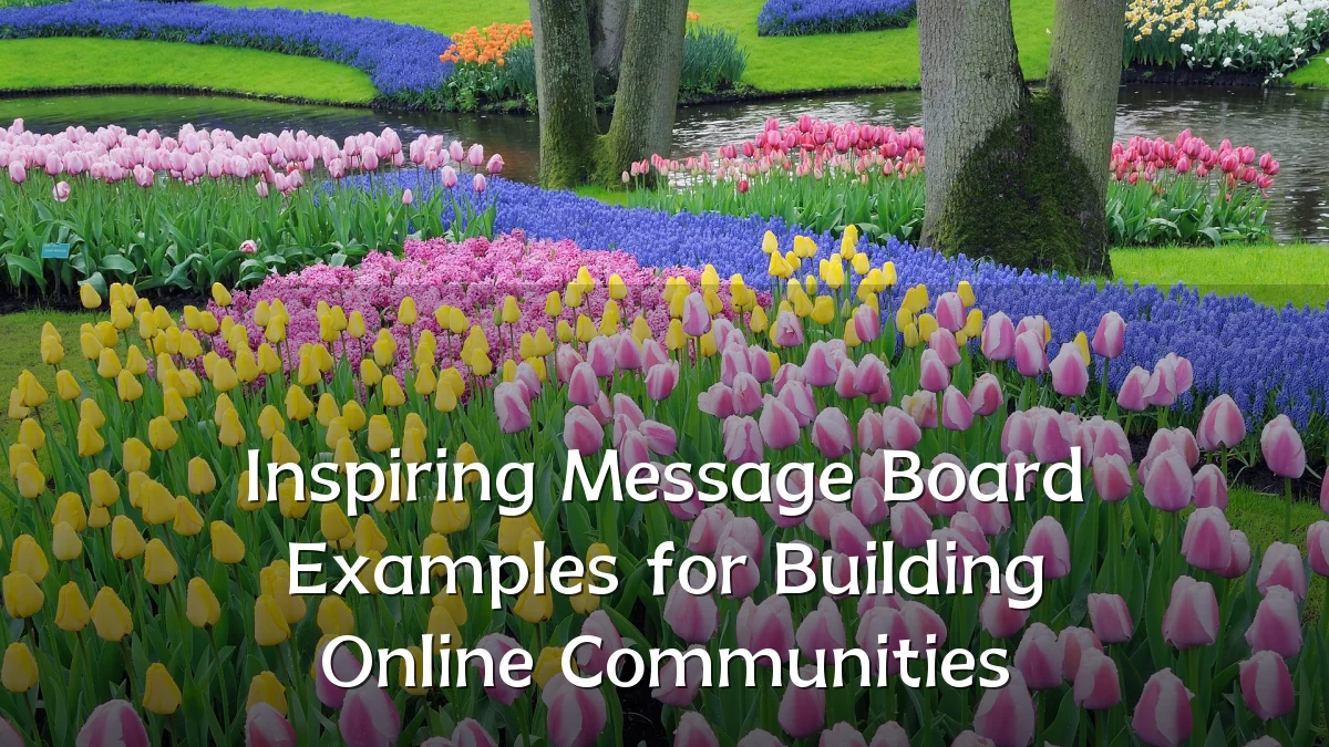 Inspiring Message Board Examples for Building Online Communities