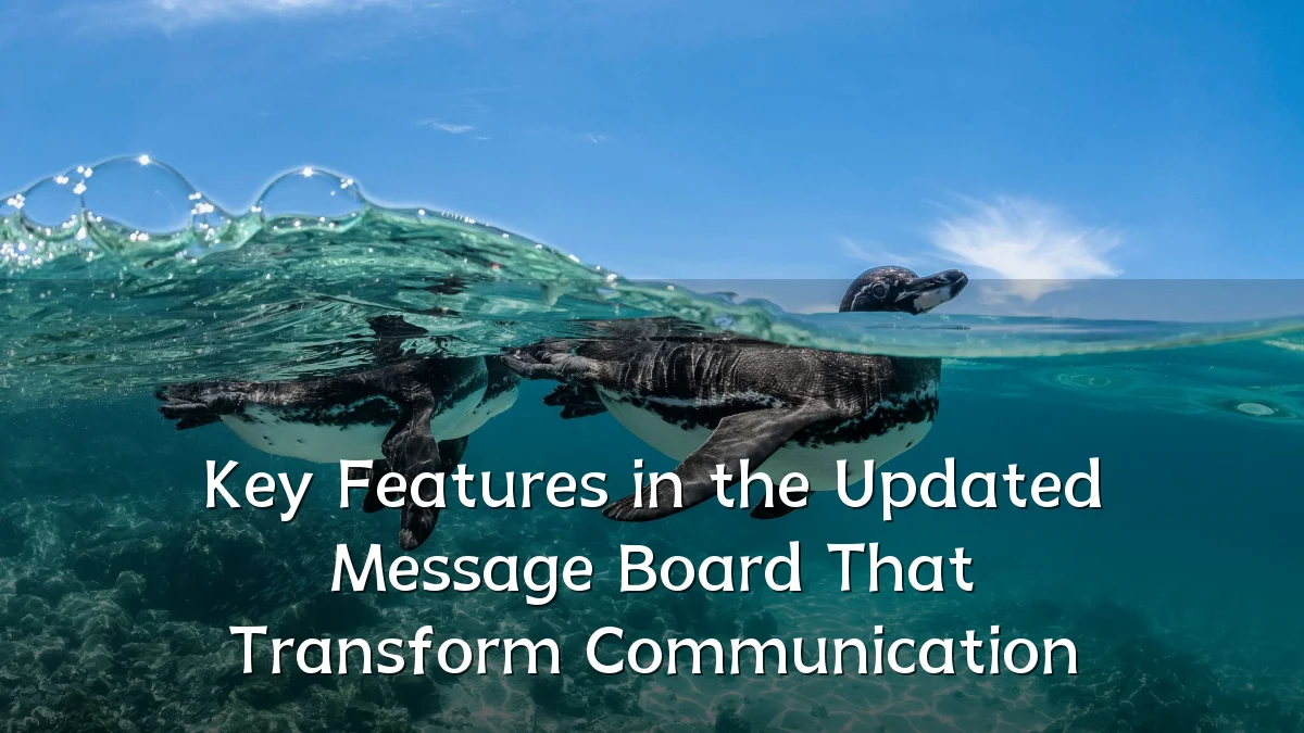Key Features in the Updated Message Board That Transform Communication