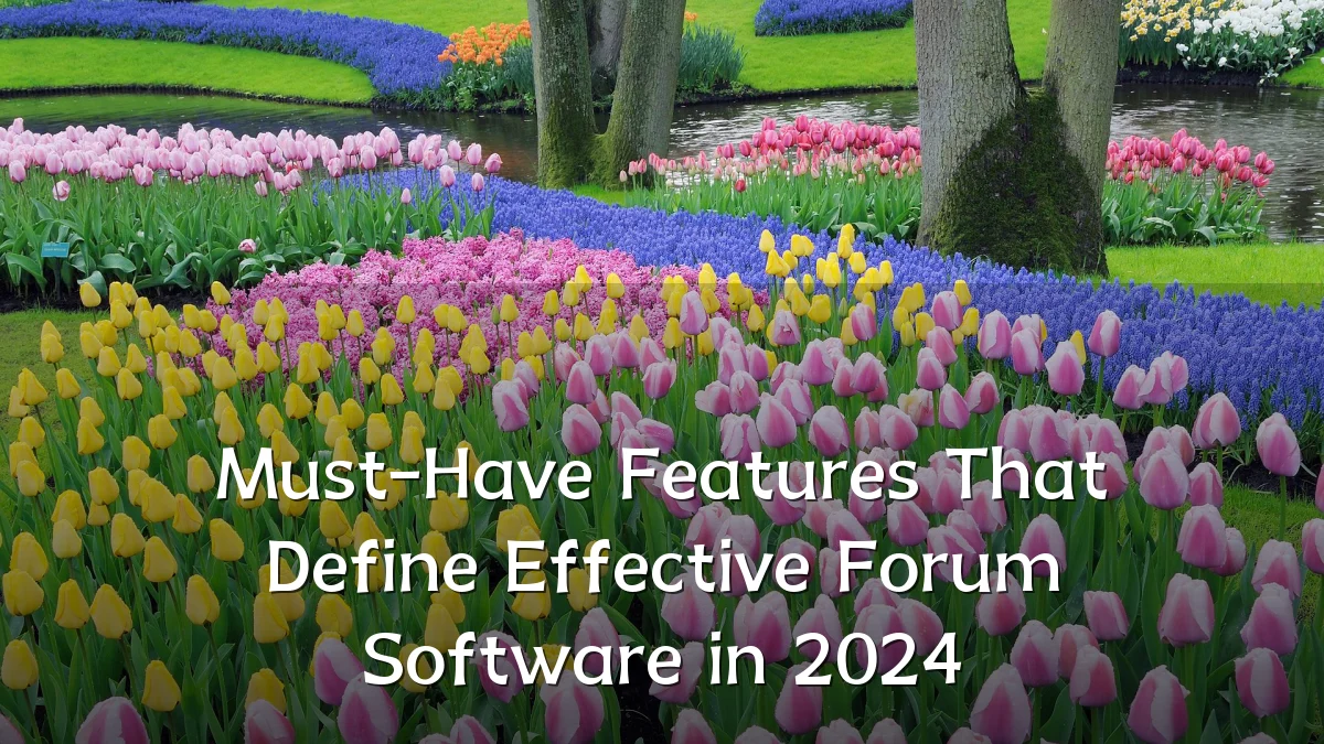 Must-Have Features That Define Effective Forum Software in 2024