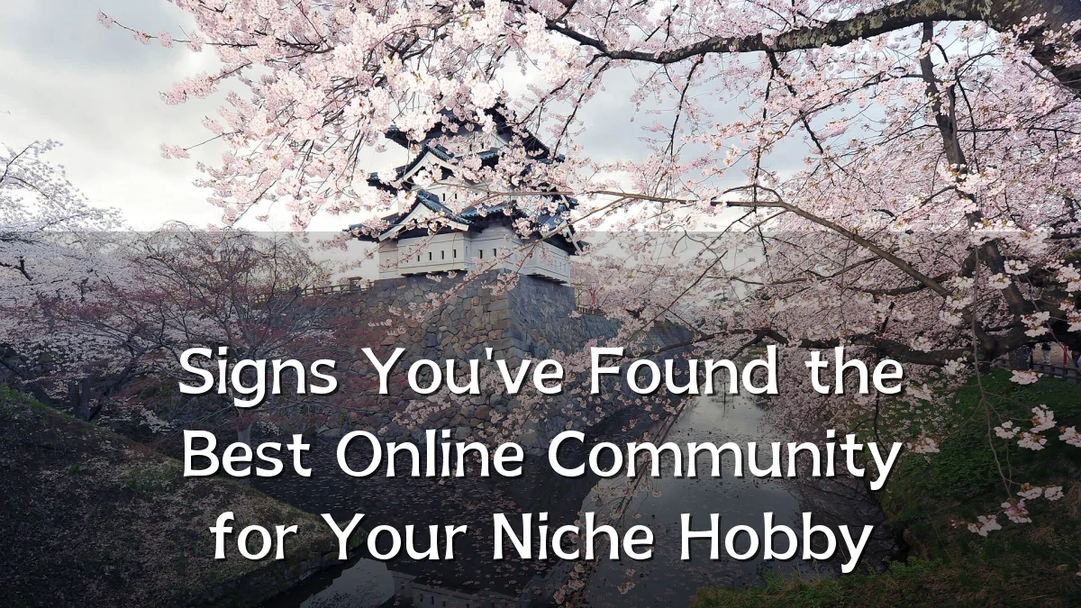 Signs You've Found the Best Online Community for Your Niche Hobby