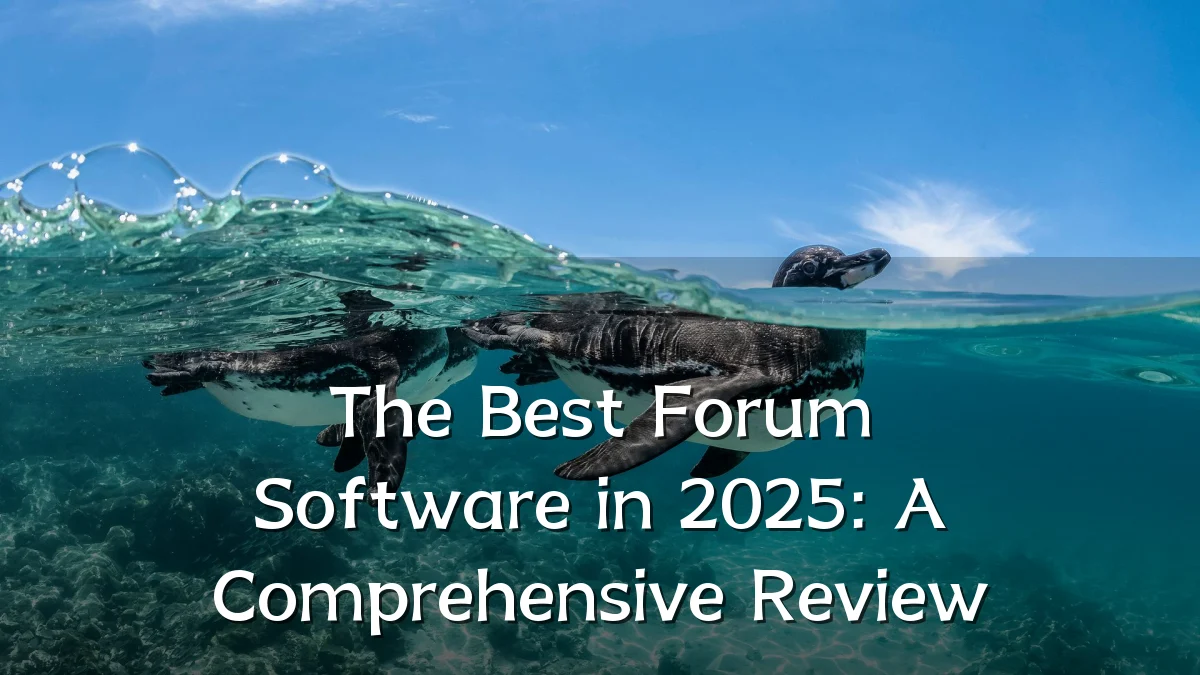 The Best Forum Software in 2025: A Comprehensive Review