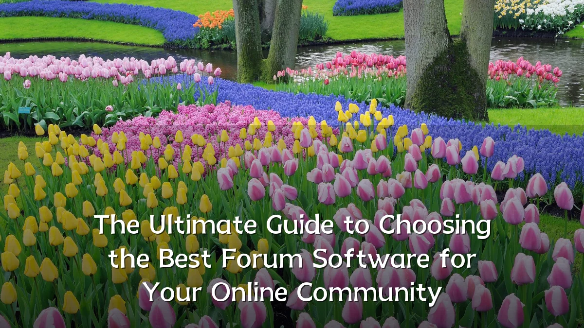 The Ultimate Guide to Choosing the Best Forum Software for Your Online Community