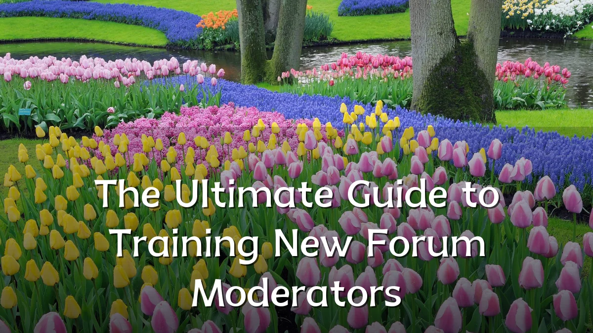 The Ultimate Guide to Training New Forum Moderators