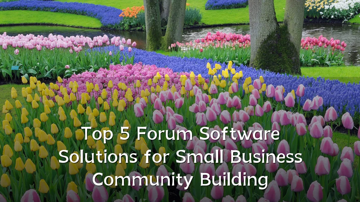 Top 5 Forum Software Solutions for Small Business Community Building