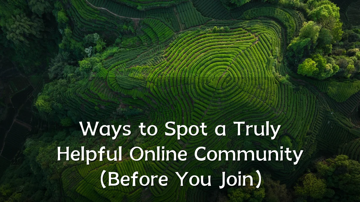Ways to Spot a Truly Helpful Online Community (Before You Join)