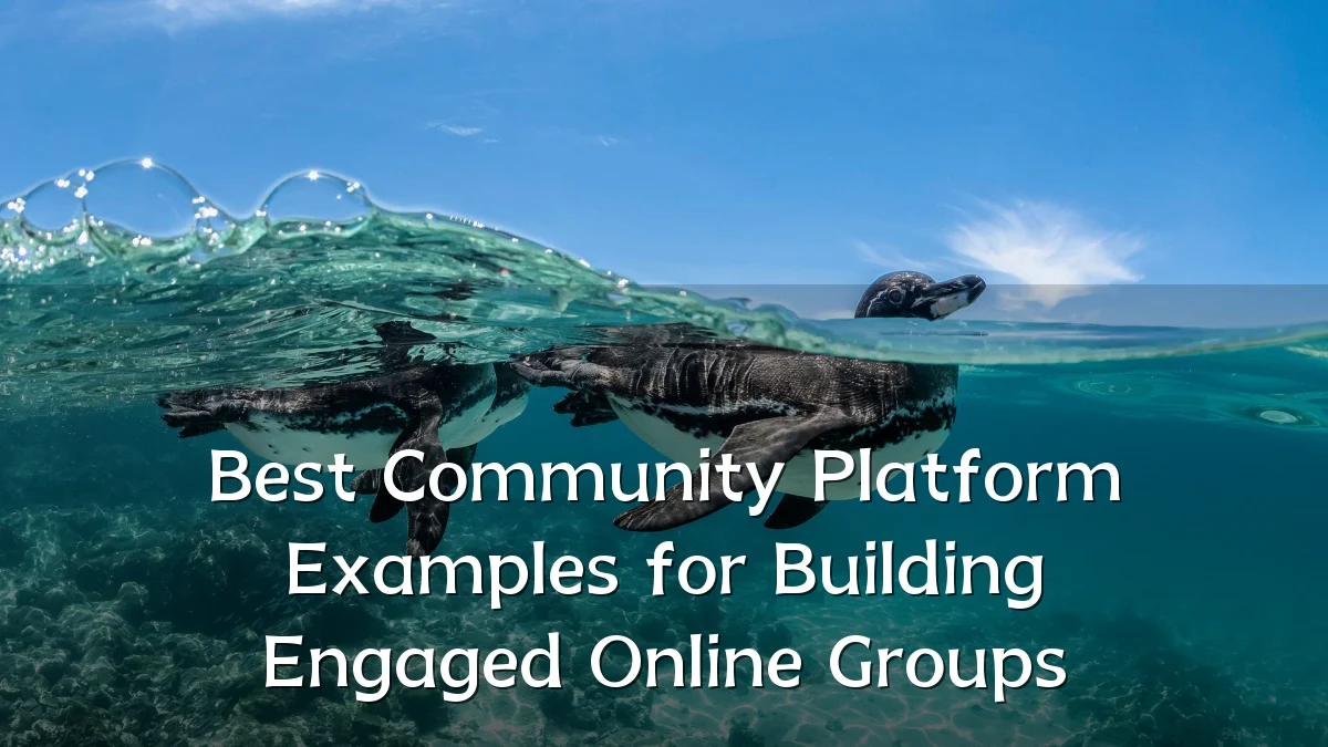 Best Community Platform Examples for Building Engaged Online Groups