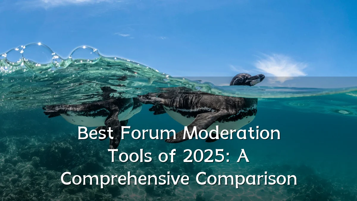 Best Forum Moderation Tools of 2025: A Comprehensive Comparison