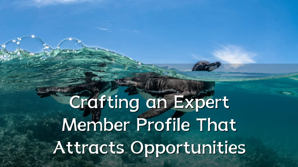 Crafting an Expert Member Profile That Attracts Opportunities