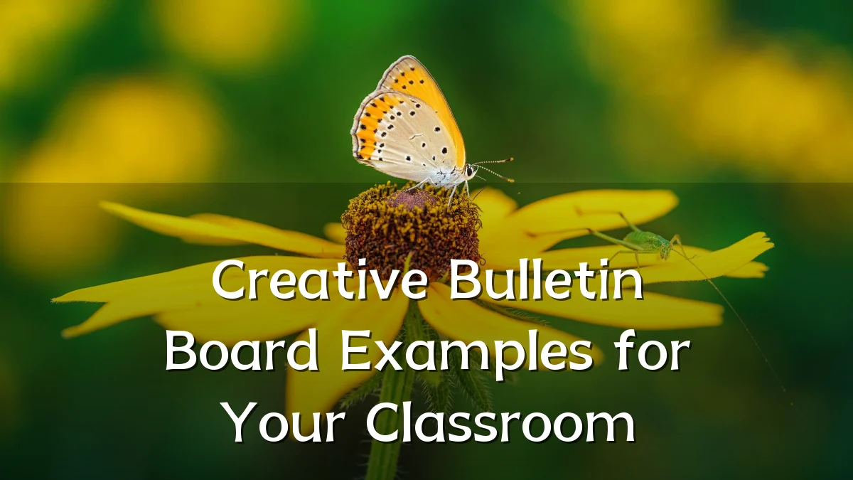 Creative Bulletin Board Examples for Your Classroom