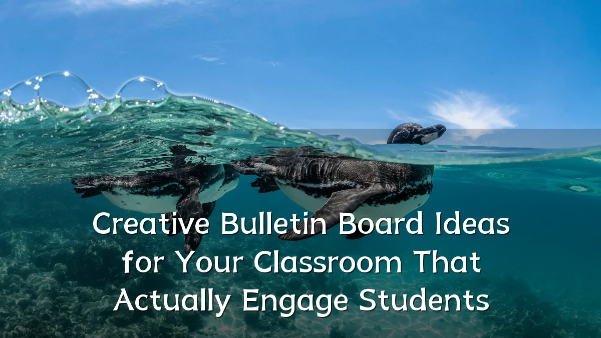 Creative Bulletin Board Ideas for Your Classroom That Actually Engage Students