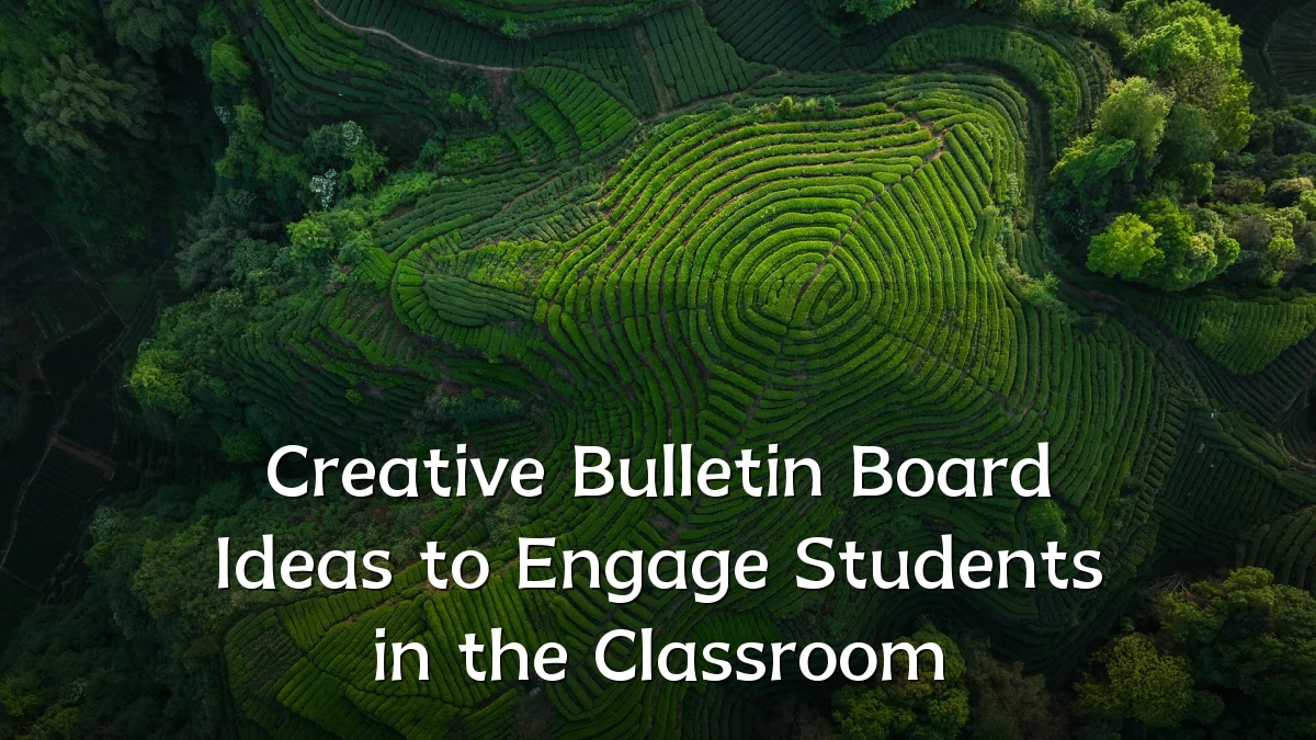 Creative Bulletin Board Ideas to Engage Students in the Classroom