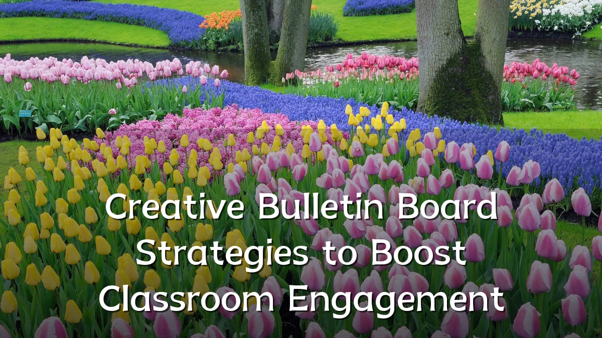 Creative Bulletin Board Strategies to Boost Classroom Engagement
