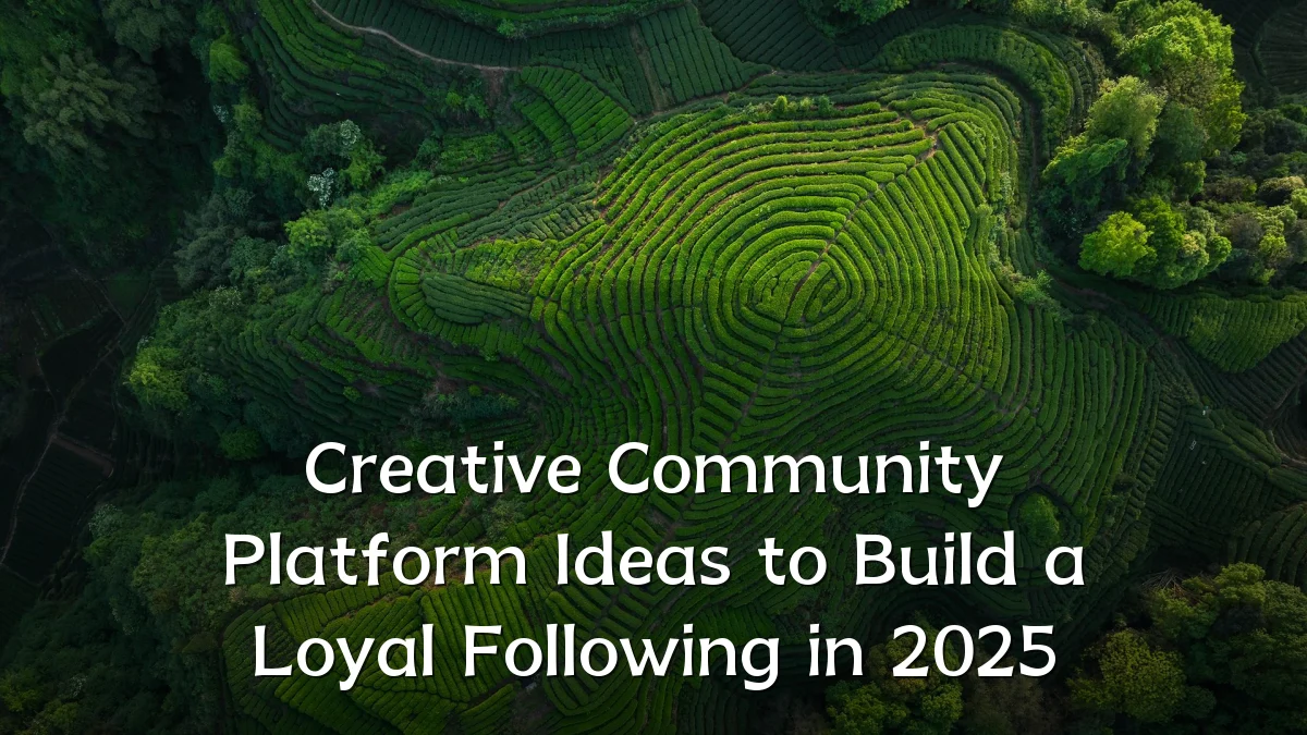 Creative Community Platform Ideas to Build a Loyal Following in 2025
