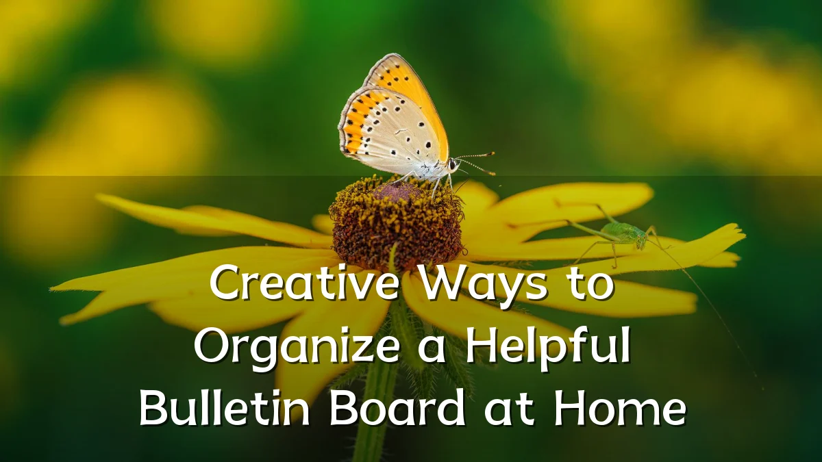 Creative Ways to Organize a Helpful Bulletin Board at Home