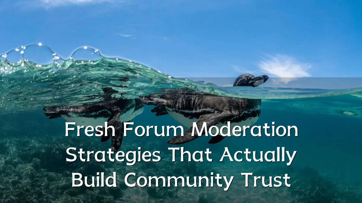 Fresh Forum Moderation Strategies That Actually Build Community Trust