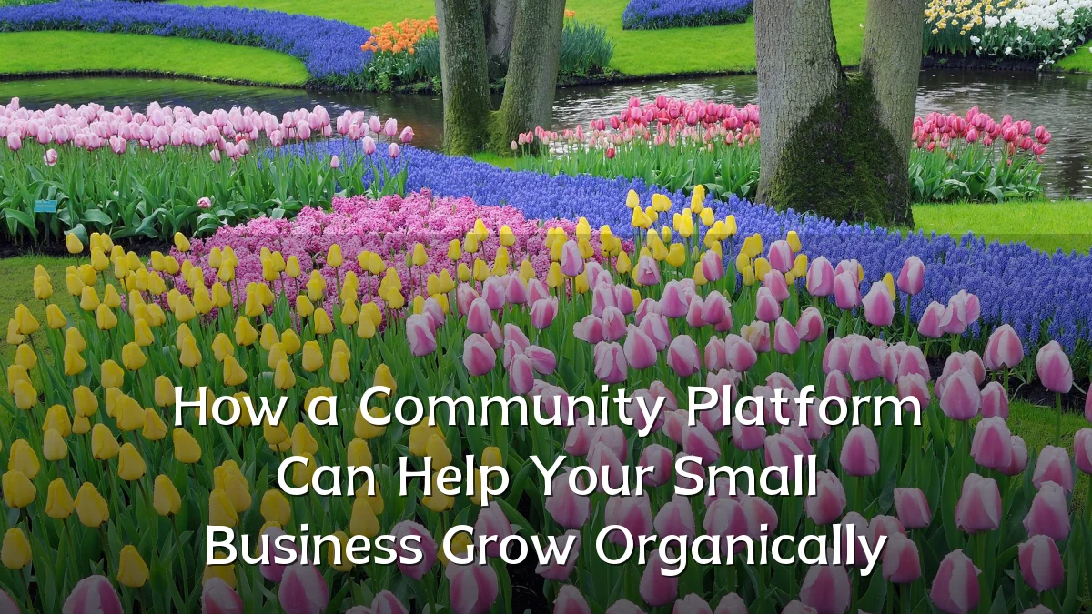 How a Community Platform Can Help Your Small Business Grow Organically
