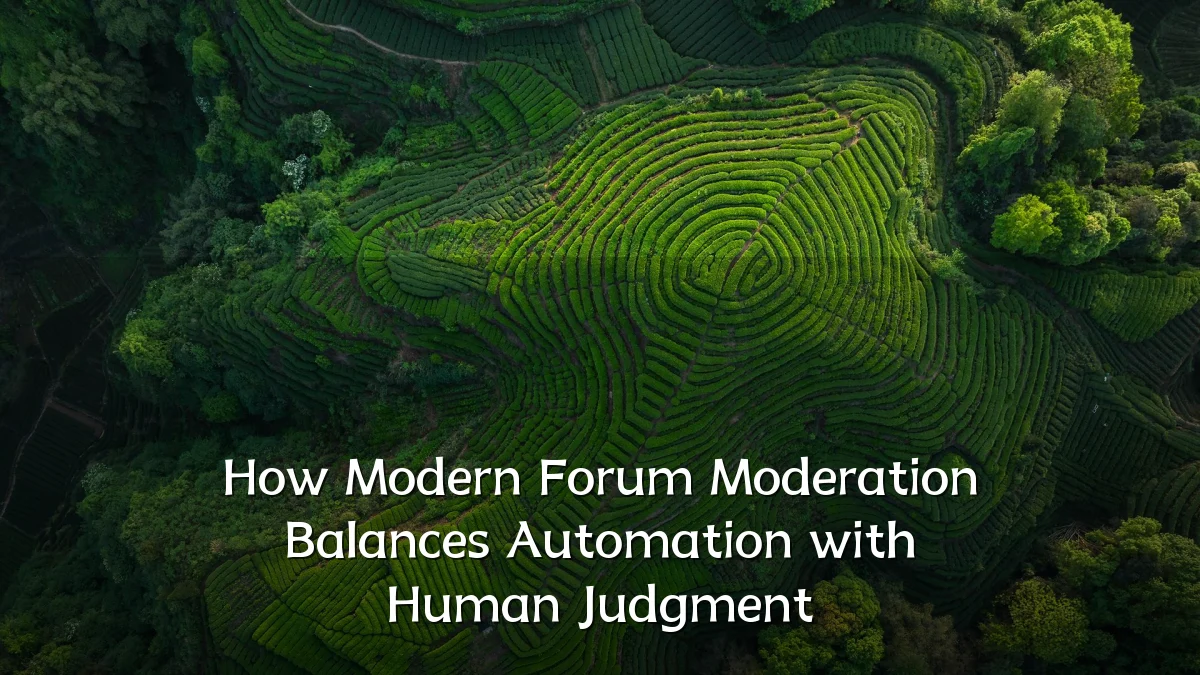How Modern Forum Moderation Balances Automation with Human Judgment