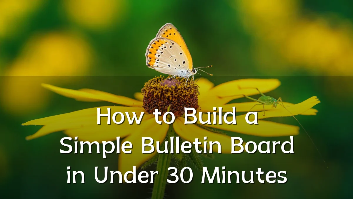How to Build a Simple Bulletin Board in Under 30 Minutes