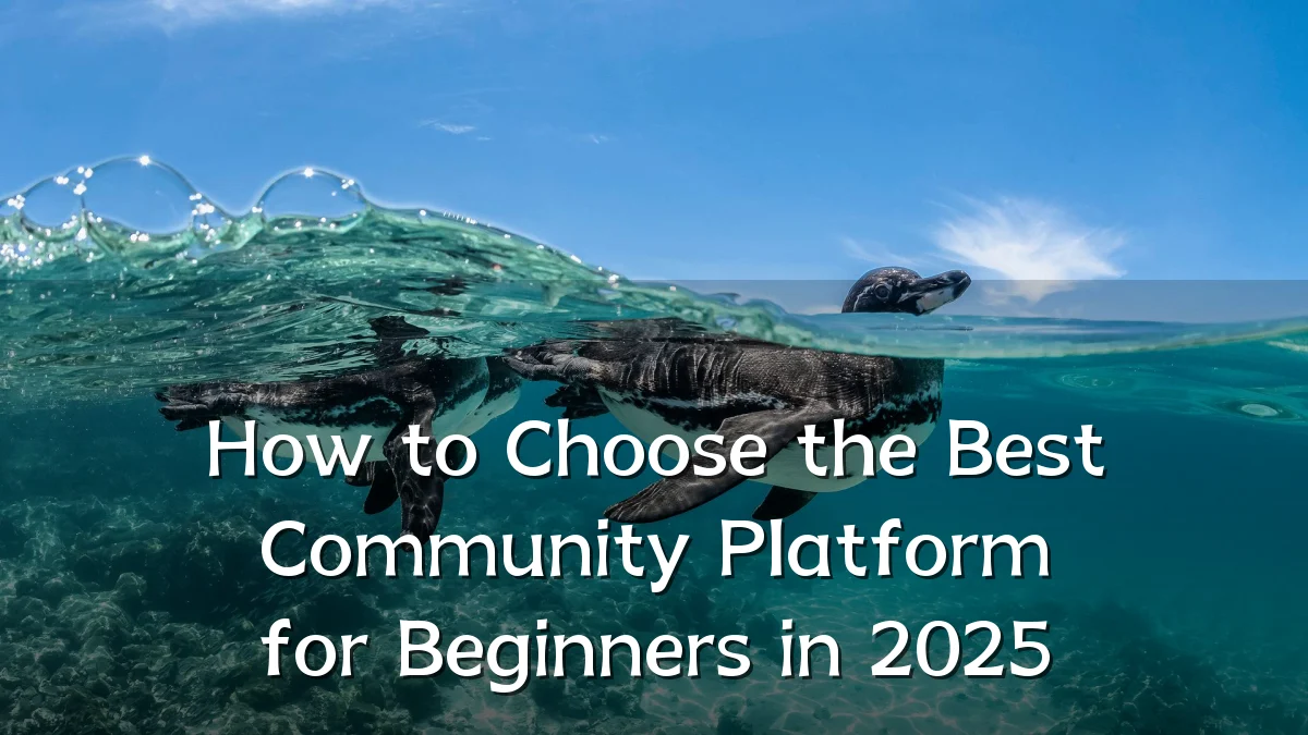 How to Choose the Best Community Platform for Beginners in 2025