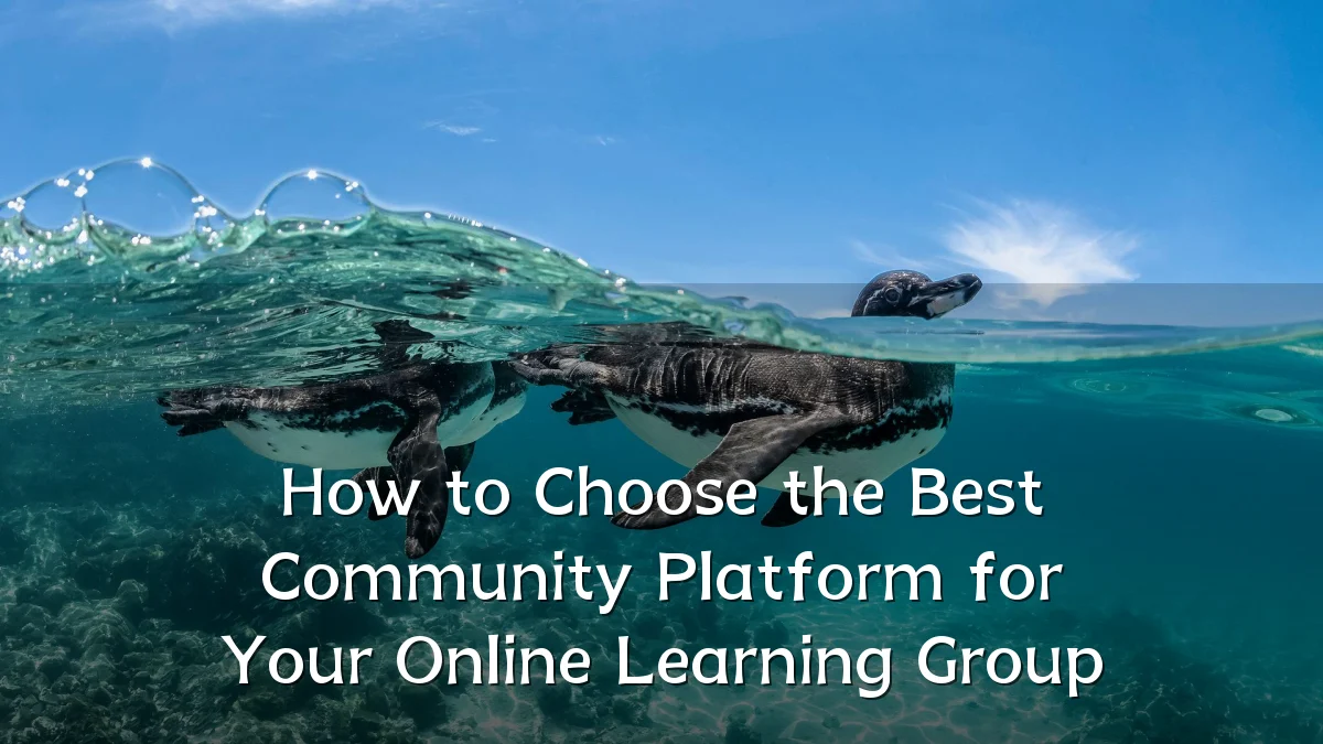 How to Choose the Best Community Platform for Your Online Learning Group