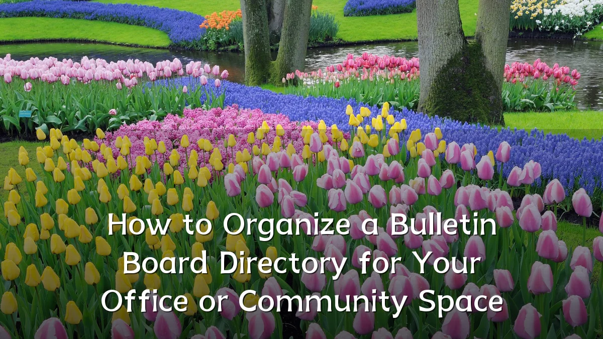 How to Organize a Bulletin Board Directory for Your Office or Community Space