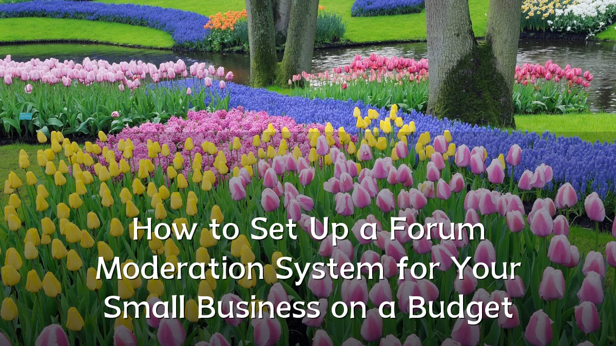 How to Set Up a Forum Moderation System for Your Small Business on a Budget