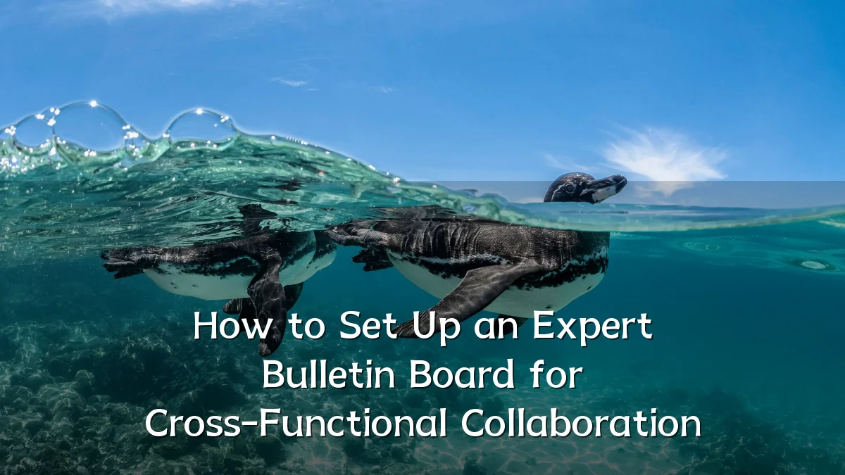 How to Set Up an Expert Bulletin Board for Cross-Functional Collaboration