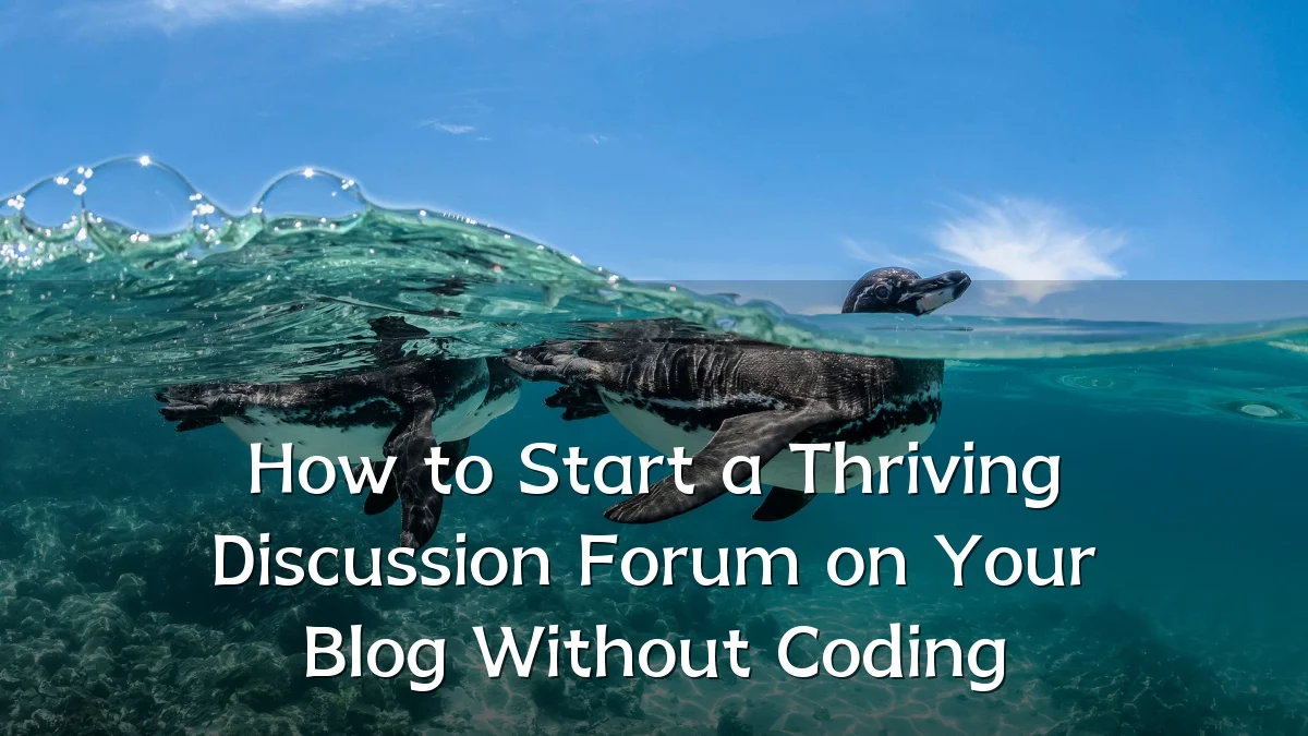 How to Start a Thriving Discussion Forum on Your Blog Without Coding