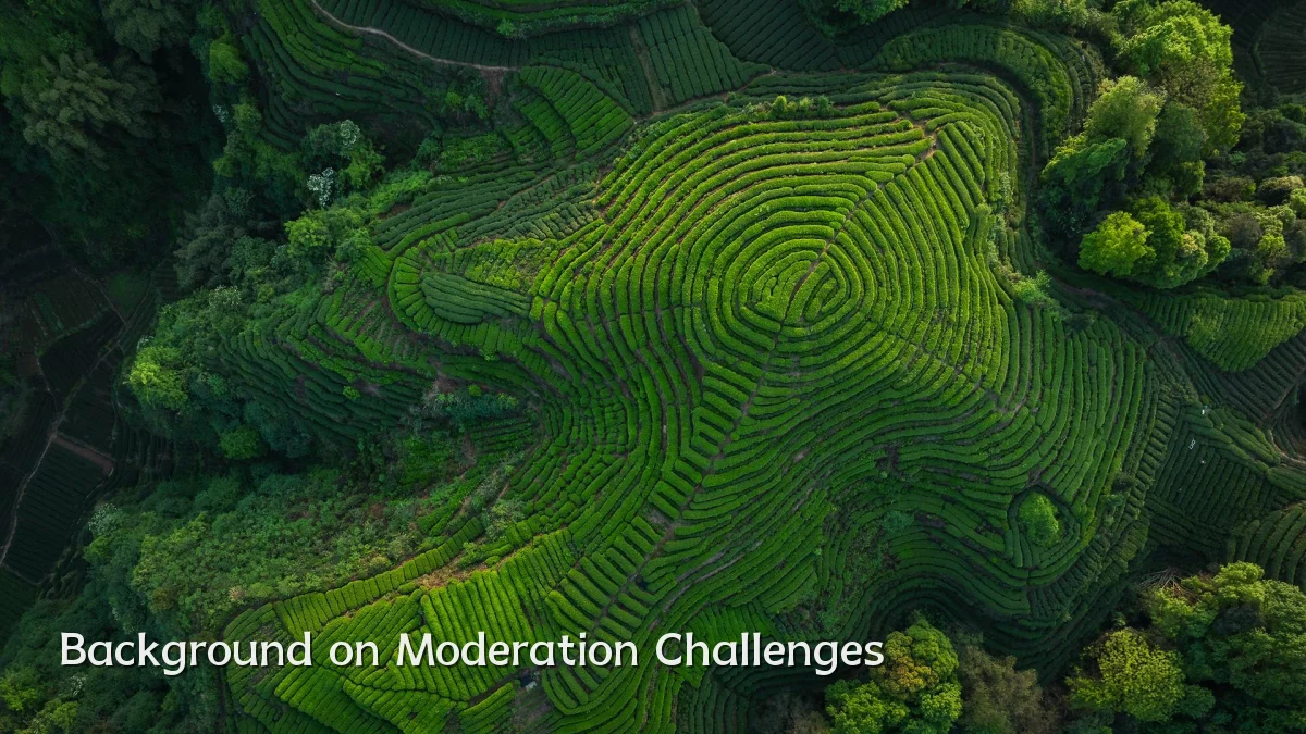 Background on Moderation Challenges
