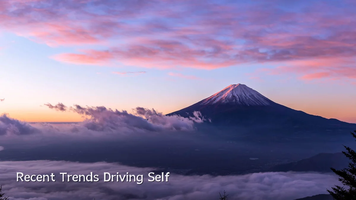 Recent Trends Driving Self
