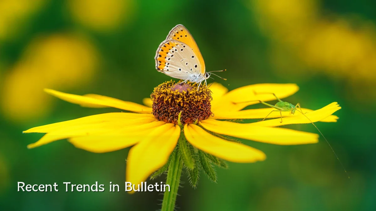 Recent Trends in Bulletin