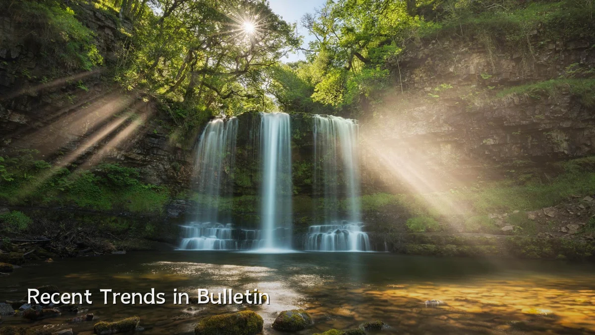 Recent Trends in Bulletin