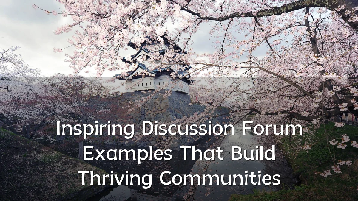 Inspiring Discussion Forum Examples That Build Thriving Communities