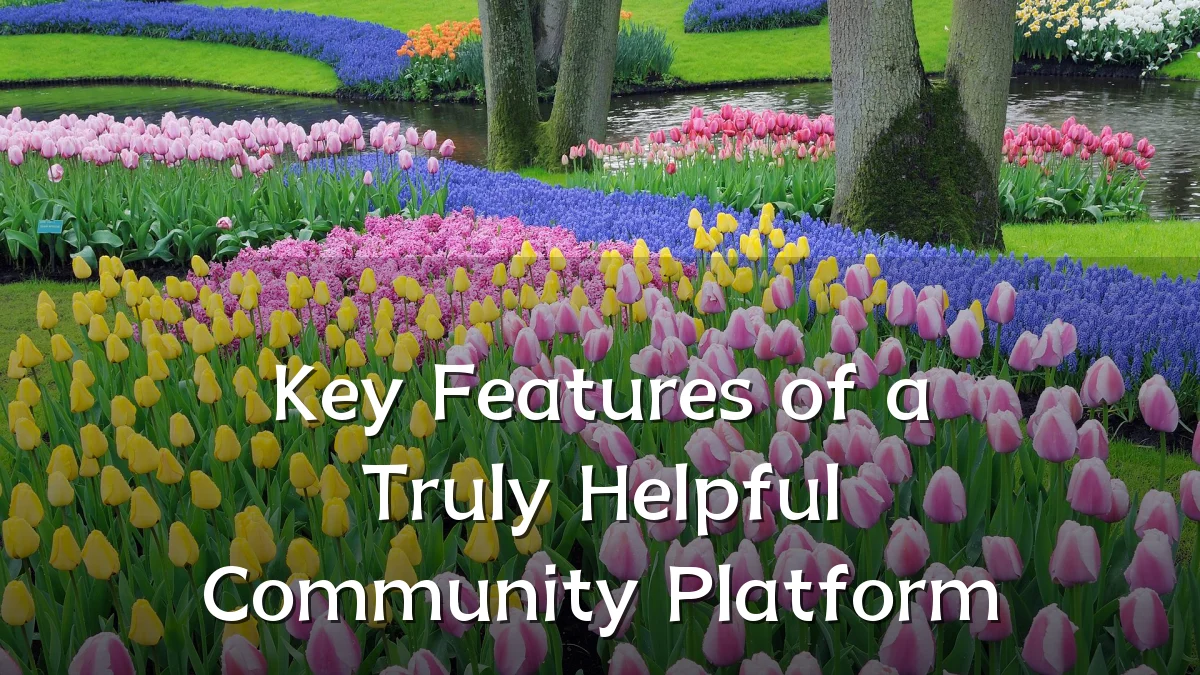 Key Features of a Truly Helpful Community Platform