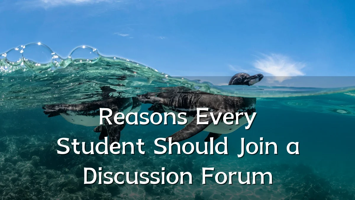 Reasons Every Student Should Join a Discussion Forum