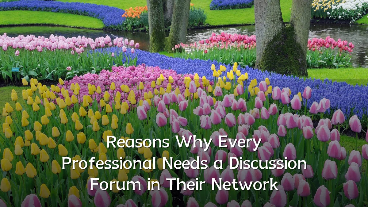 Reasons Why Every Professional Needs a Discussion Forum in Their Network