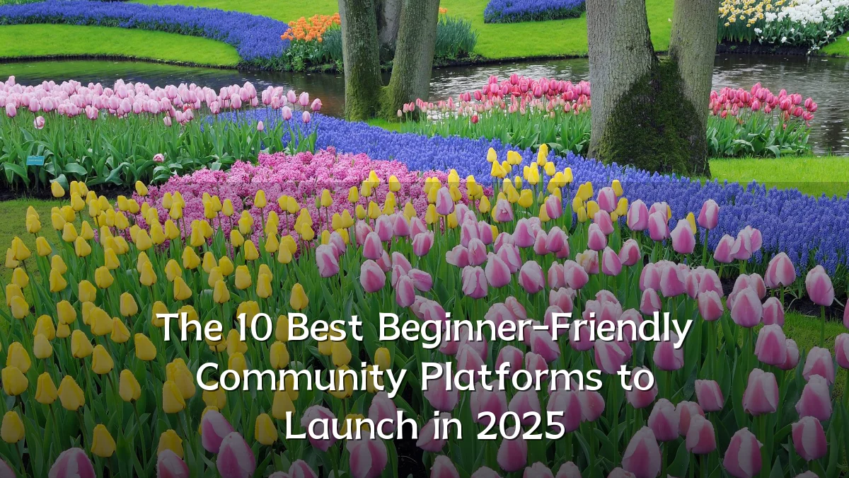 The 10 Best Beginner-Friendly Community Platforms to Launch in 2025