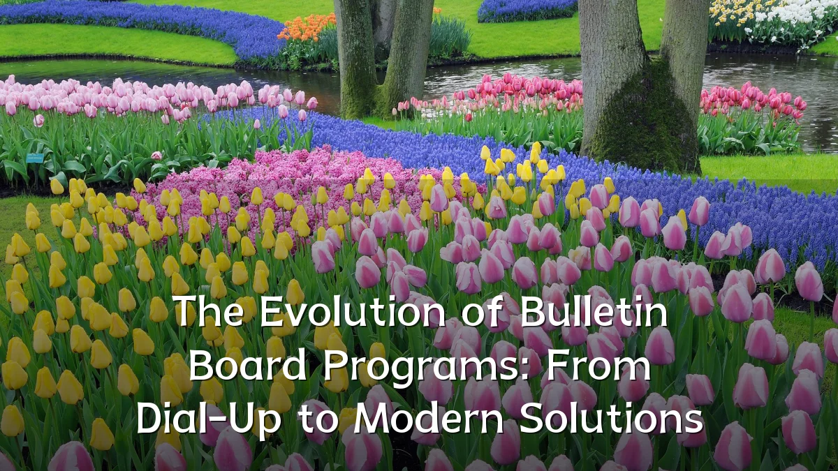 The Evolution of Bulletin Board Programs: From Dial-Up to Modern Solutions