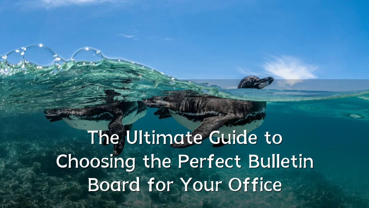 The Ultimate Guide to Choosing the Perfect Bulletin Board for Your Office