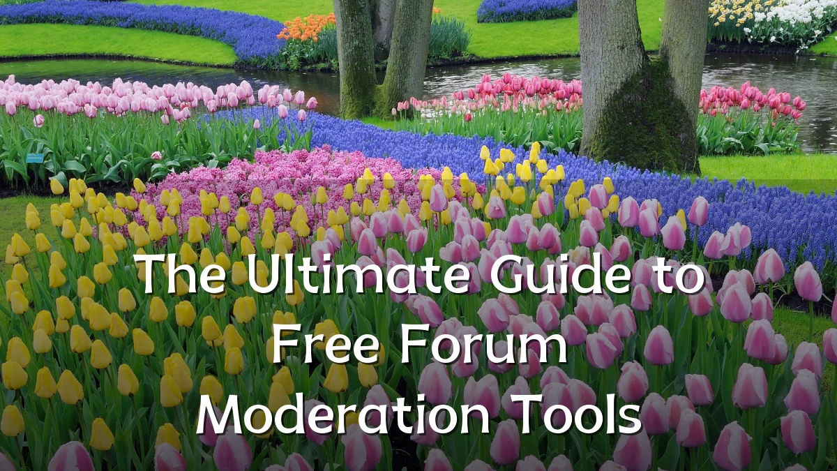 The Ultimate Guide to Free Forum Moderation Tools